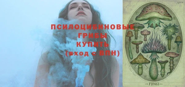гашик Абаза