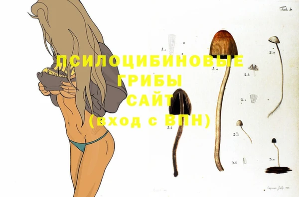 кокаин колумбия Алзамай