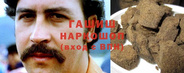 гашик Алексин