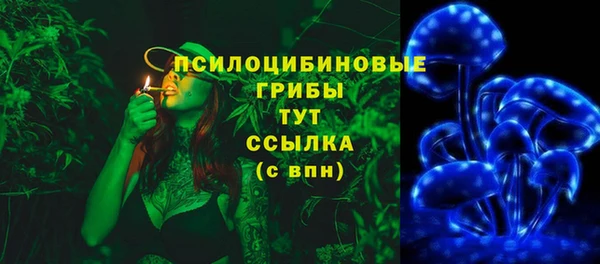 гашик Абаза