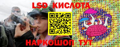 ПСИЛОЦИБИНОВЫЕ ГРИБЫ Можга