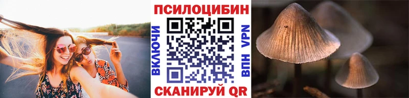 купить наркотик  Благовещенск  Галлюциногенные грибы GOLDEN TEACHER 