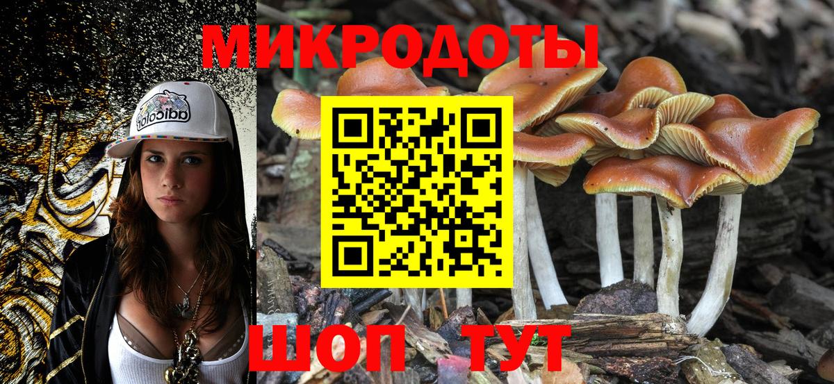 Благовещенск  Псилоцибиновые грибы Magic Shrooms  Вход с VPN  купить наркотики сайты  Галлюциногенные грибы GOLDEN TEACHER 