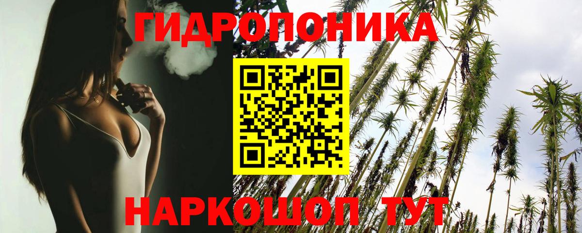 Конопля семена  Вход с VPN  Каннабис OG Kush  Марихуана тримм  Шишки марихуана MAZAR  Благовещенск 